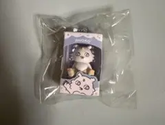 ちいかわ パッケージキーホルダー あのこ