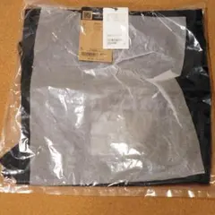 ノースフェイス ピーエフサックパック NM62413 K ブラックのサムネイル