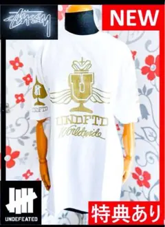 【新品】ステューシー コラボ アンディフィーテッド Tシャツ 限定 NEW