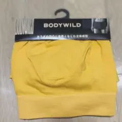 グンゼ BODY WILD ボクサーパンツ LLサイズ 3枚セット