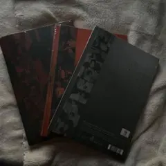 TREASURE LOVE PULSE 3形態セット