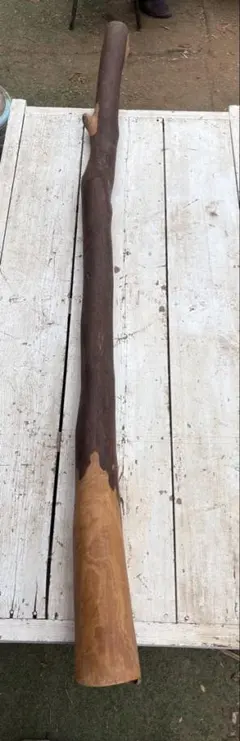 世界最古の金管楽器 ディジュリドゥ✴︎ - メルカリ