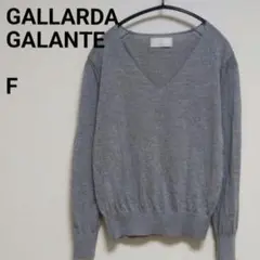 9−5【ガリャルダガランテ】◎美品◎袖ビーズ刺繍ニット　Vネックニット