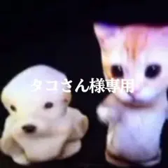 2025年最新】ロマンスドーン box 未開封の人気アイテム - メルカリ