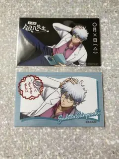 銀魂 銀八先生 ふぉとカードコレクション 坂田銀時