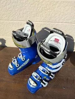 2026年最新】REXXAM 100の人気アイテム - メルカリ