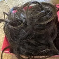 Item thumbnail for item beb2034f-8fb8-4ede-81a1-ebe6df92da30