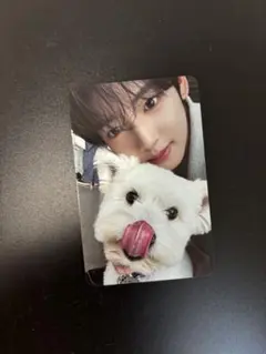 【限定値下】 ZB1 NEVER SAY デジパ　トレカ　レオ　犬　ユジン