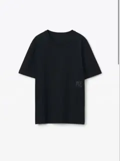 alexander wang ロゴ Tシャツ ブラック XS 美品　半袖　黒Tのサムネイル