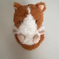 ころもっふる モルモット ぬいぐるみ マスコット サンレモン
