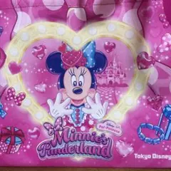 2026年最新】ミニー ブランケット パルパルーザの人気アイテム - メルカリ