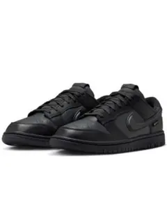 ナイキ ダンク LOW GORE-TEX