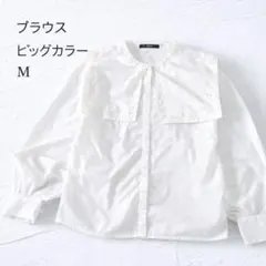 刺繍ブラウス 白 ビッグカラー 長袖 レディース Mサイズ