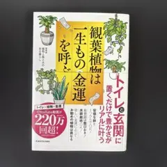 観葉植物は一生ものの金運を呼ぶ