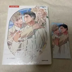 恋心策略 韓国BL ボーイズラブ 漫画 コミック しおり付き