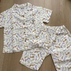 petitmain プティマイン　セットアップ　恐竜　110