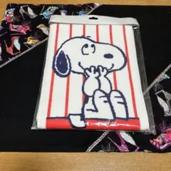 フェイラースヌーピータウン限定巾着SNOOPY野球Baseballバッグ小物入れ