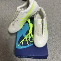 DSライト 3 ジュニア / DS LIGHT 3 Jr アシックス