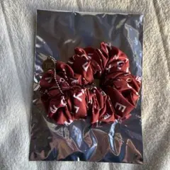 theboyz シュシュ ジュヨン