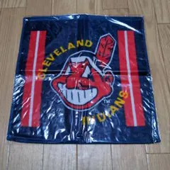クリーブランド・インディアンス タオル ハンカチ メジャーリーグ MLBのサムネイル