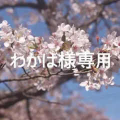 わかば様専用