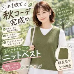 【美品】ピスタチオ ニットベスト ウール混 Vネック レイヤード 韓国コーデ