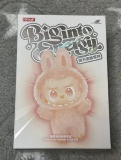 ラブブ Biginto energy -LUCK-