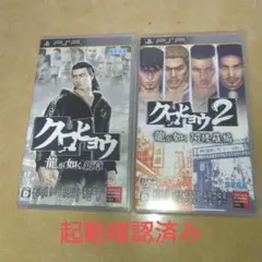 【起動確認済み】クロヒョウセット