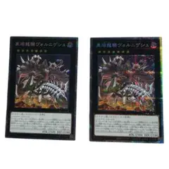 最安値!! 遊戯王 黒熔龍騎ヴォルニゲシュ プリズマ 2枚セット