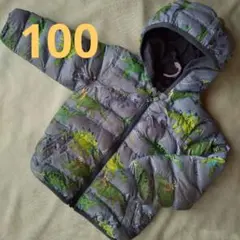 恐竜柄ダウンコート 100cm