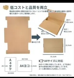 Item thumbnail for item a3c55369-ec8d-48a5-b2f3-00c694666890