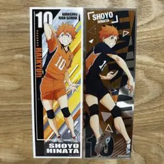 ハイキュー　ロングステッカー2 日向