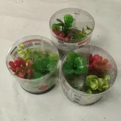 GEX 癒し水景 ボトルプランツ 3個セットAのサムネイル