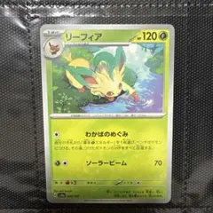 PSA10リーフィア SV8a テラスタルフェスex 320 PSA10リーフィア SV8a テラスタルフェスex 320 Amazon.co.jp
