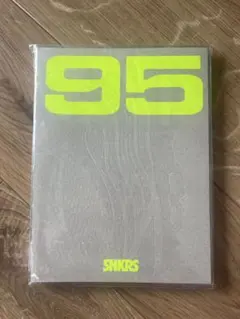 ナイキ　エアマックス95 ブックレット　雑誌
