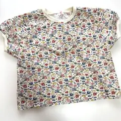 Item thumbnail for item 7e952ed4-d42e-4f0e-b38f-79881a543ed4