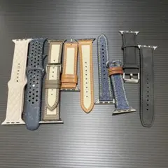 Apple Watch バンドセット 多色 5本