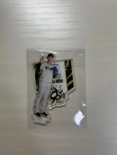 阪神タイガース　西純矢選出サイン入り　キャンプロゴコーチジャケット kobekeitem_4988923655070