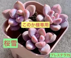 このか様 リクエスト 3点 まとめ商品