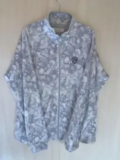 Item thumbnail for item 8a49e9f3-ec3c-4420-940e-67275c2f343e