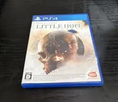 ザダーク ピクチャーズ リトルホープ