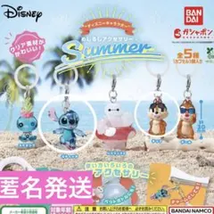 ディズニーキャラクター　めじるしアクセサリー　Summer 2つセット　匿名発送
