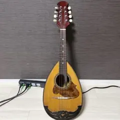 日本製SUZUKI マンドリン No.7 1965年製 ヴィンテージ 現状品 - メルカリ