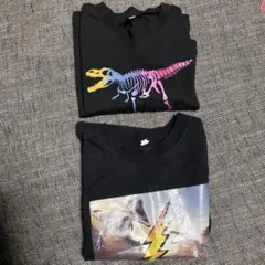 恐竜デザイン ロンTシャツ サイズ110 2枚セット
