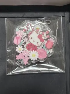 2025年最新】キティ てんとう虫の人気アイテム - メルカリ