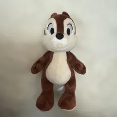 ポージープラッシー チップ レインポンチョ セット