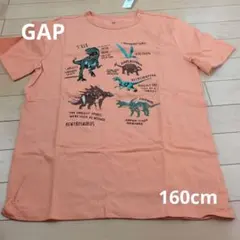 未使用　GAPTシャツ　160cm