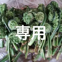 ひろちゃん様専用