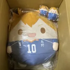 ハイキュー ぬいくじ くじメイト ふわコロりん メガ　A賞　日向翔陽　D賞　E賞