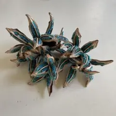 2026年最新】タビビトノキの人気アイテム - メルカリ